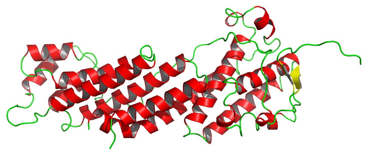 ribbon secondary structure