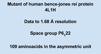 rei data description