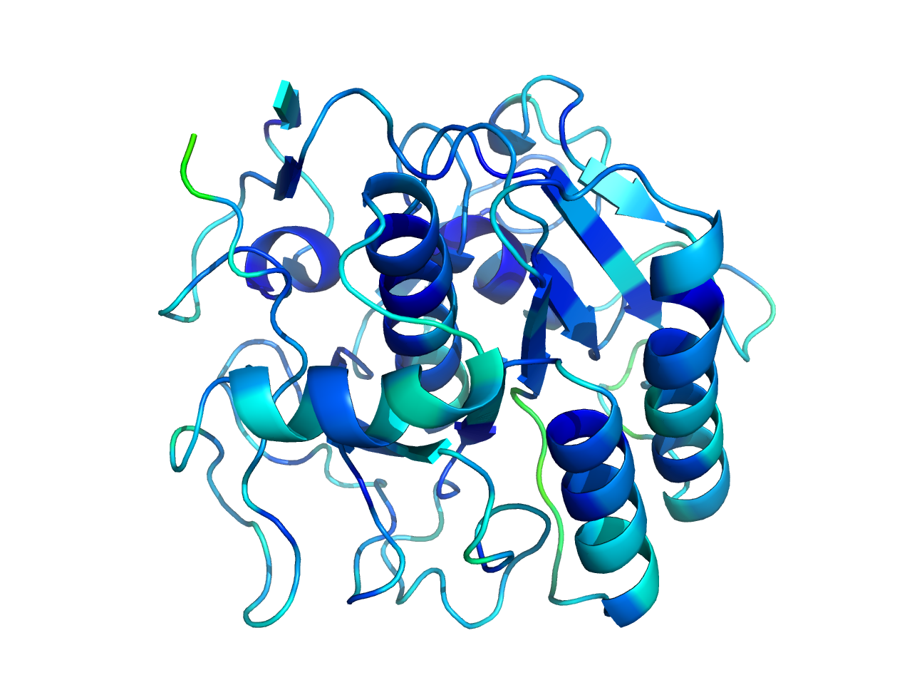 Structure of Proteinase K colored after B-value